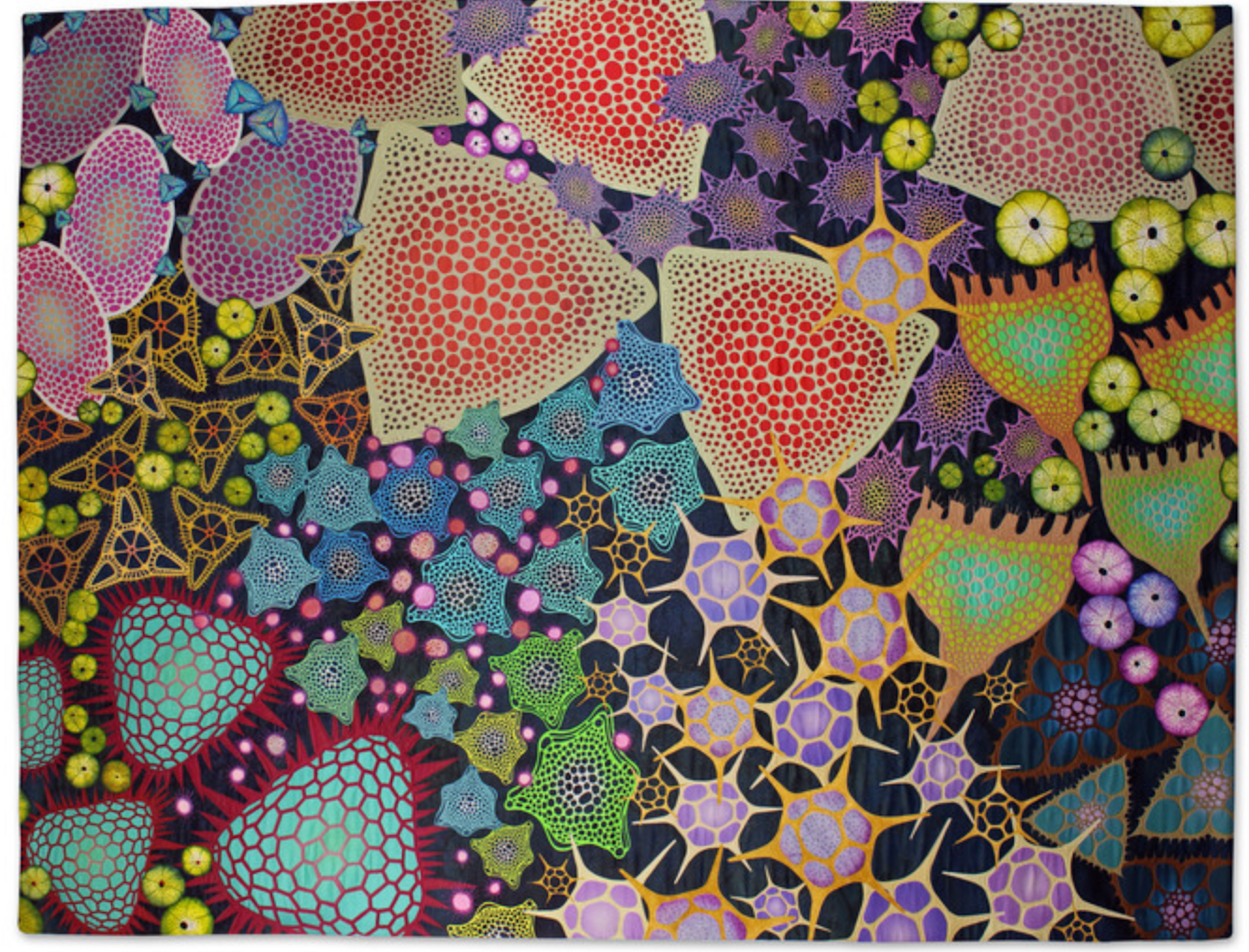 Diatom Parade