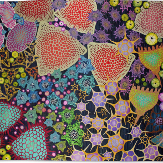 Diatom Parade